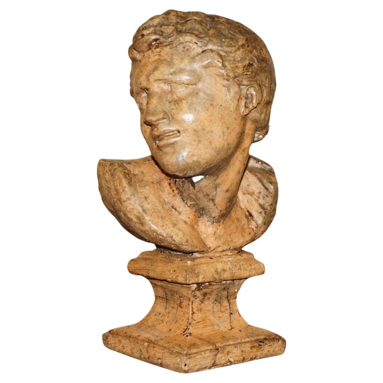 DECORATIVE ANTIQUE WEATHERED CIRCA 1900 TERRACOTTA CLASSICAL BUST OF HERCULES
