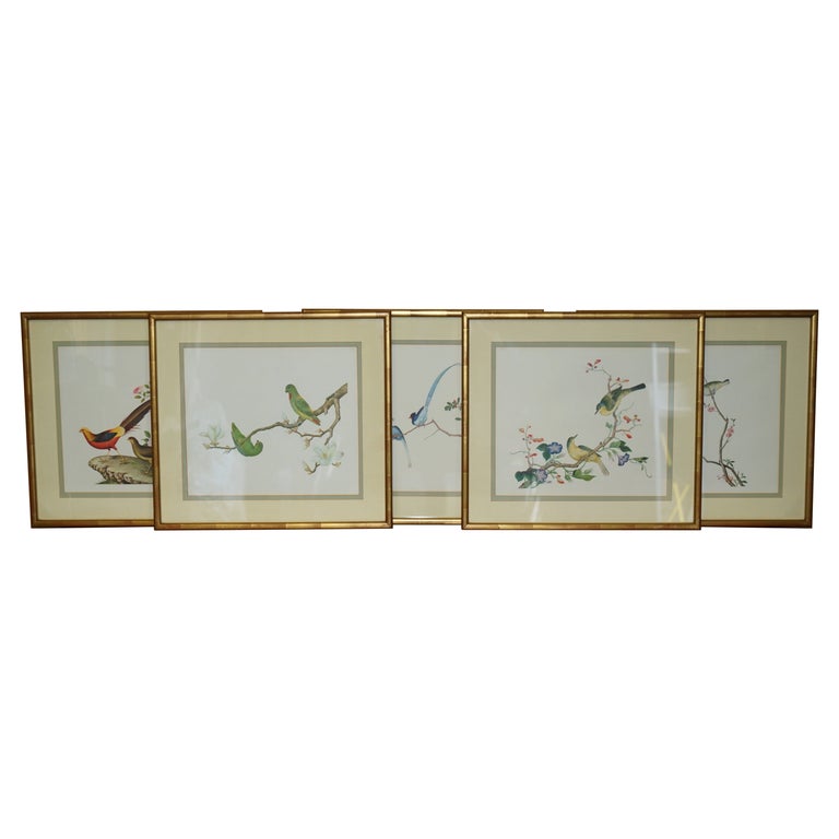 FIVE CHINESE CH’IEN LUNG PERIOD 1736-1796 WATERCOLOUR BIRD PIANTINGS FRAMED