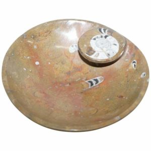 1 OF 4 LOVELY MOROCCAN AMMONITE ATLAS MOUNTAINS FOSSIL BOWLS MARBLE FINISH